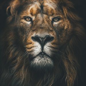 Meet your Posher, Cj